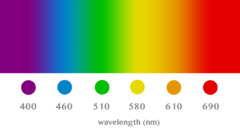 可視光スペクトル