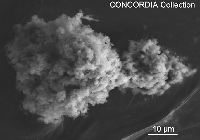 南極ドームCの雪から抽出された流星塵の電子顕微鏡写真。