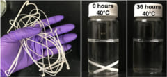 研究で開発されたプラスチックの紐。40℃のお湯に36時間つけておくことで完全に分解され消えてしまう。