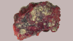 赤いトリニタイト。これは核爆発で溶けた砂、銅線、その他の破片の融合で形成されている。
