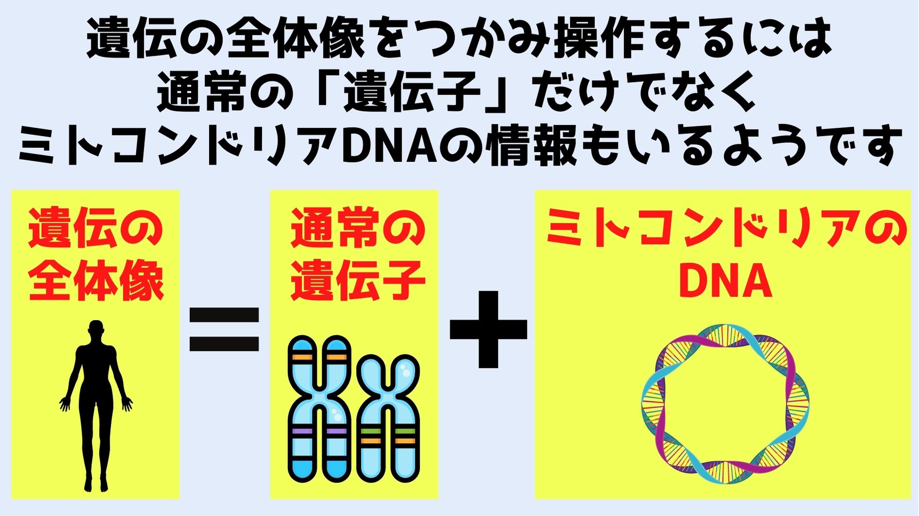 正確な遺伝子治療を行うには核DNAに加えてミトコンドリアDNAの編集も必要になる