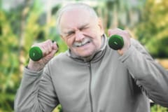 加齢による筋肉量の減少は、高齢者の障害の主な原因となっている