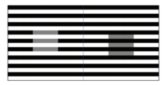 今回の錯覚をグレースケールに置き換えたバージョンの「ホワイト錯視（White’s illusion）」の例