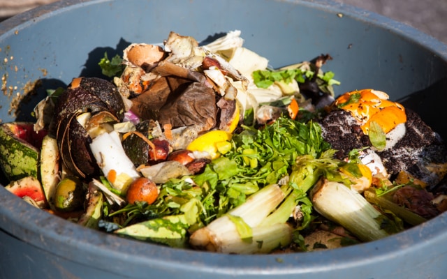 大量の食品廃棄物は現代社会の抱える問題の1つ