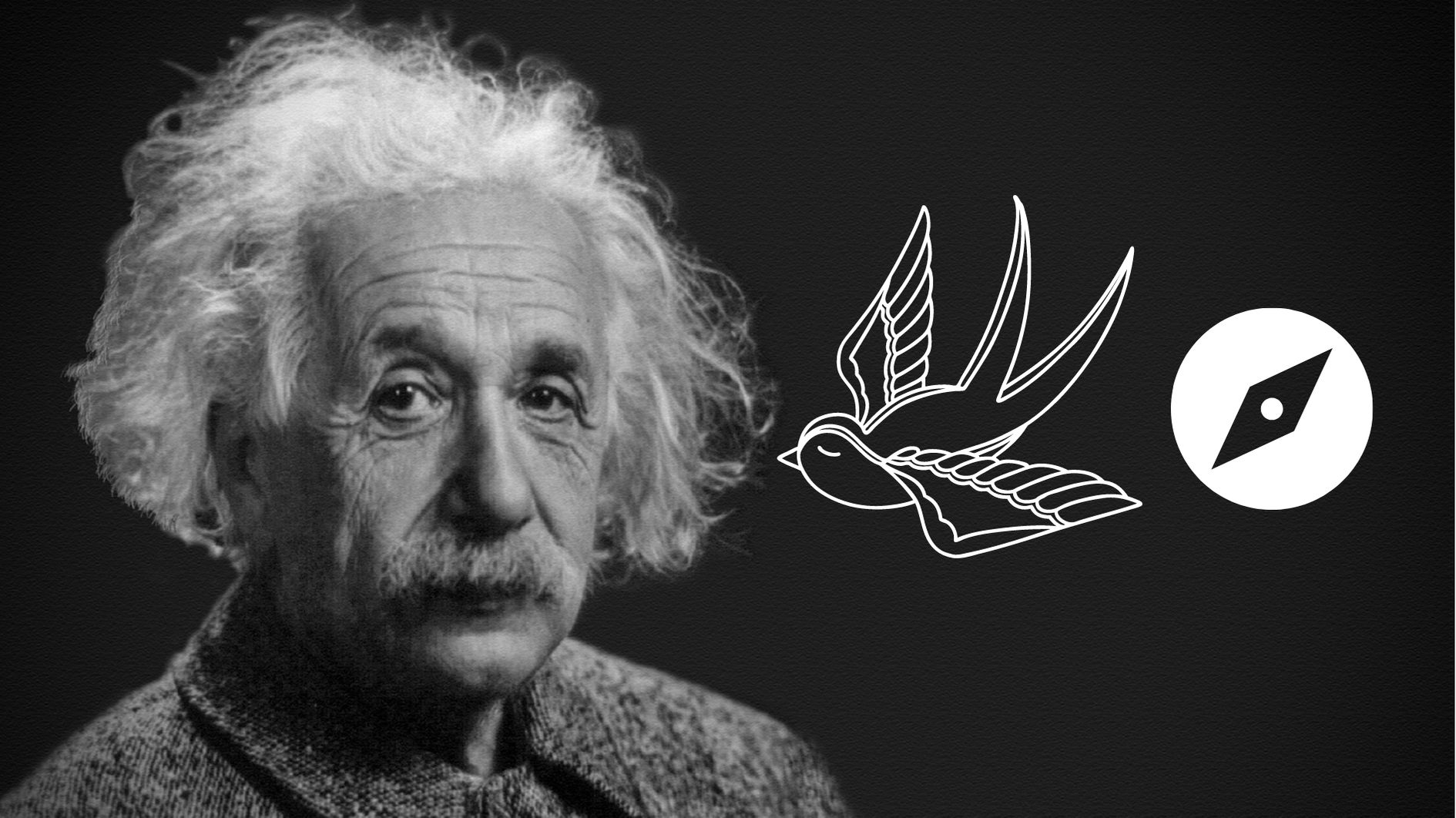 アインシュタインは動物の超感覚を予測していたと判明！