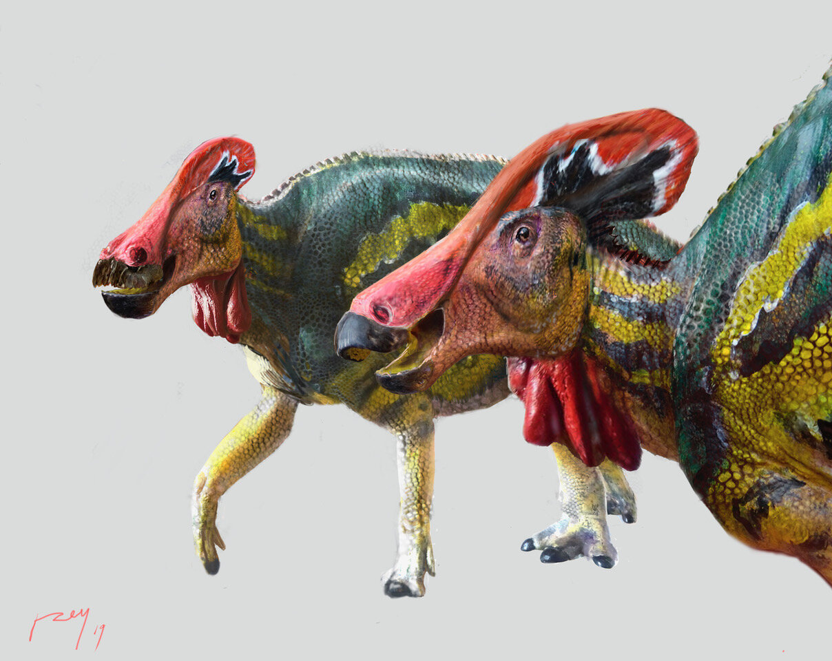 新種のハドロサウルスは「コミュ力」が高かった？