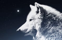 月（マーニ）を狼（ハティ）の北欧神話