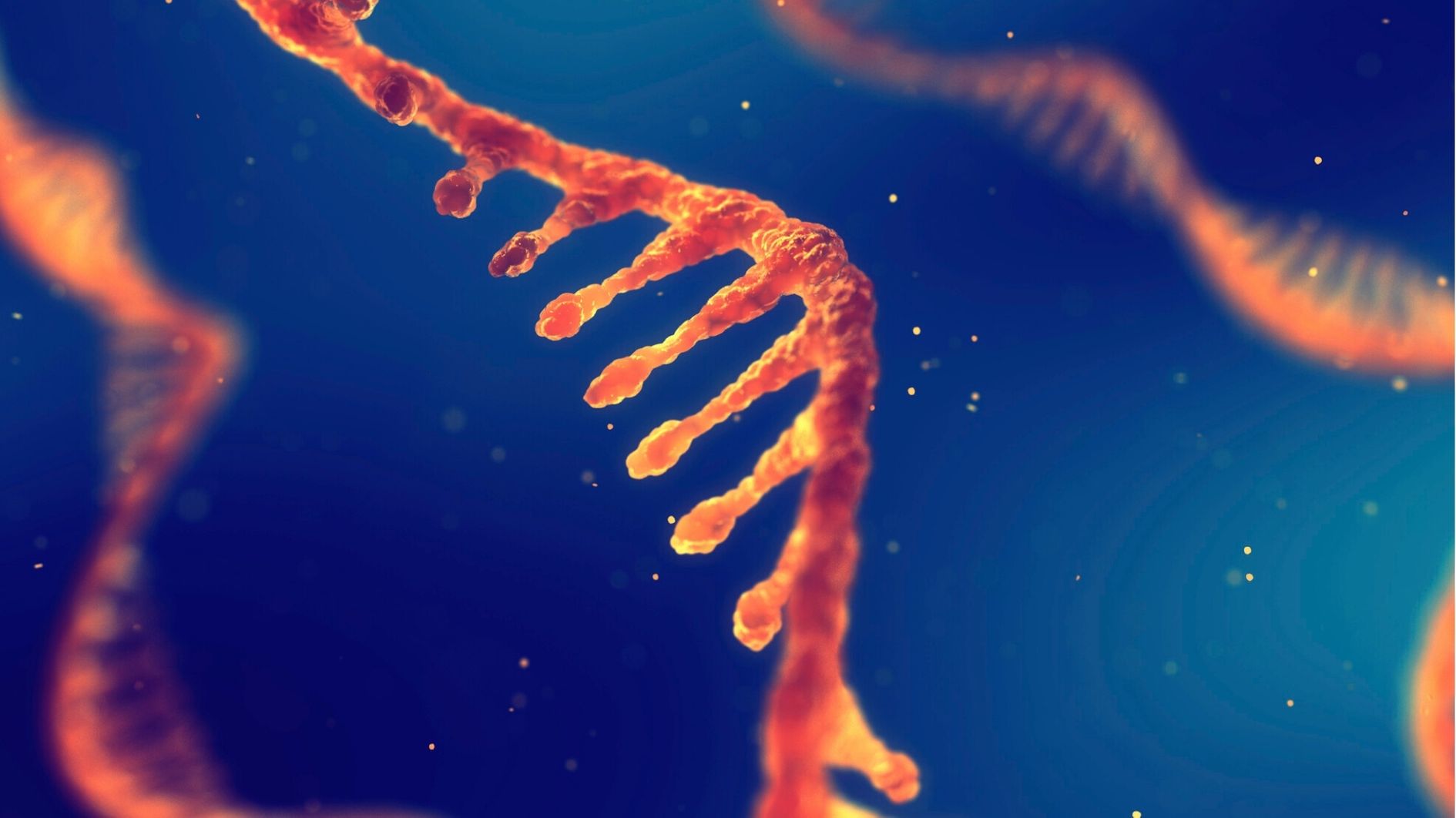 人間の細胞もセントラルドグマに反しRNA配列をDNAに書き込めるかもしれないと判明！