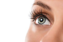瞳孔の平均サイズは2〜8ミリ