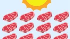 動物細胞に光合成能力を付与する技術は培養肉農園を可能にする