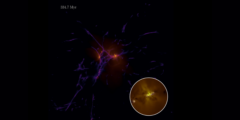 最初の星と銀河形成の進化を示す動画のキャプチャ