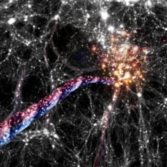 宇宙フィラメントに対するアーティストイメージ。フィラメントの中に無数の銀河団が存在している。フィラメントの赤と青はそれぞれ赤方偏移、青方偏移を示している。