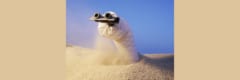 砂の地面を掘り進むヘビ型ロボットが開発された
