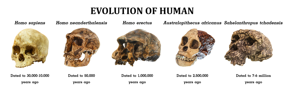 私たちのDNAの大部分は絶滅した祖先のもの
