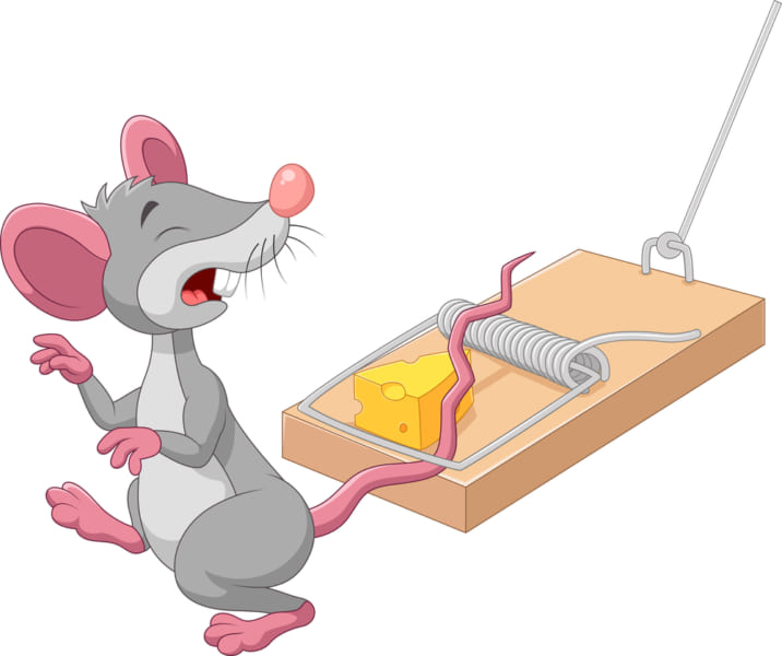 マウスは脳インプラントにより痛みに鈍感になった