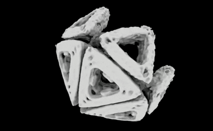 DNA折り紙法で組み立てたナノカプセル（電子顕微鏡での拡大図）