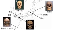 日本の遺跡で発見された人骨