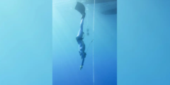 トップダイバーの潜水中の心拍数はイルカ並みと判明