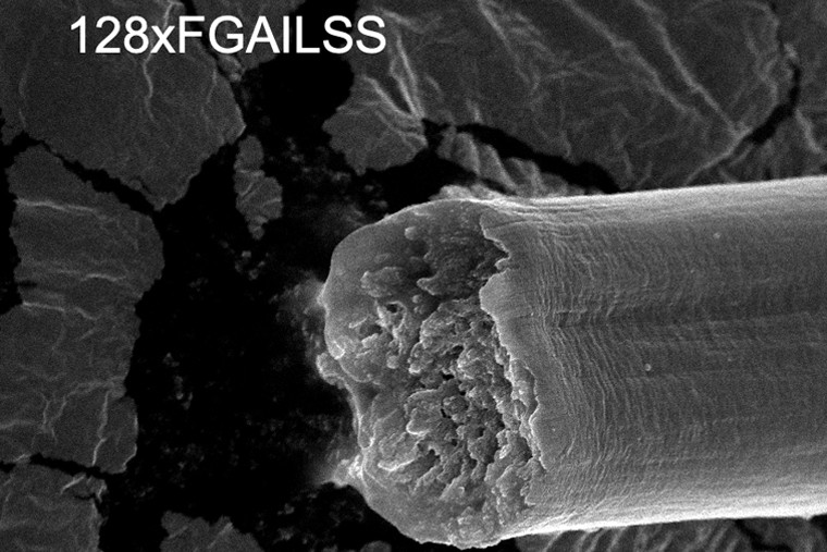 新しい人工クモ糸の顕微鏡画像