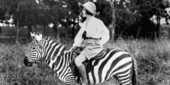 シマウマに乗る女性（1923年撮影）