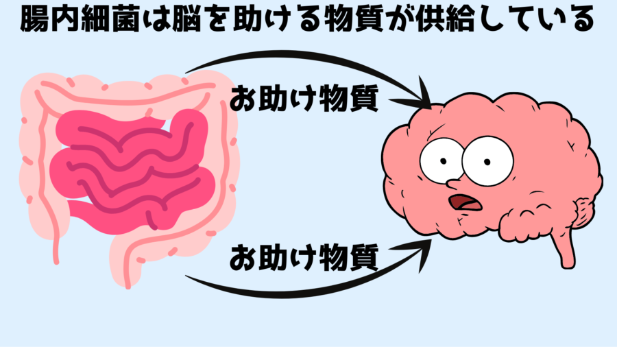 腸内細菌はお助け物質を通して脳の働きに影響を与えている