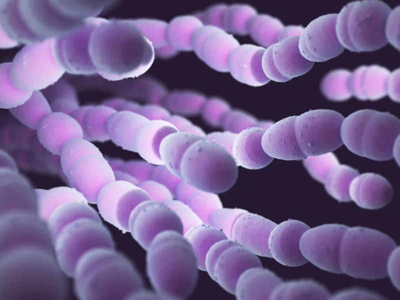 レンサ球菌のイメージ