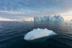 グリーンランドの氷が全て溶けると、地球の海面は最大7m上昇する