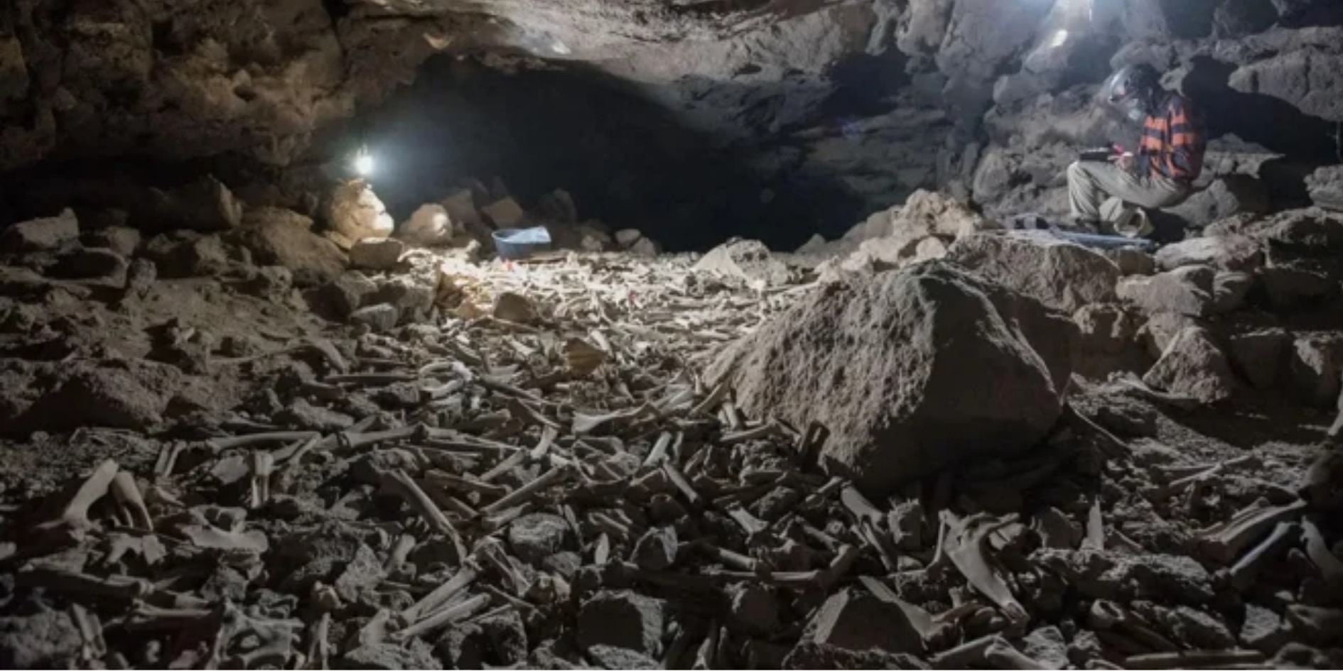 人骨も含め何十万もの白骨が産卵する「恐怖の洞窟」の持ち主が明らかに！