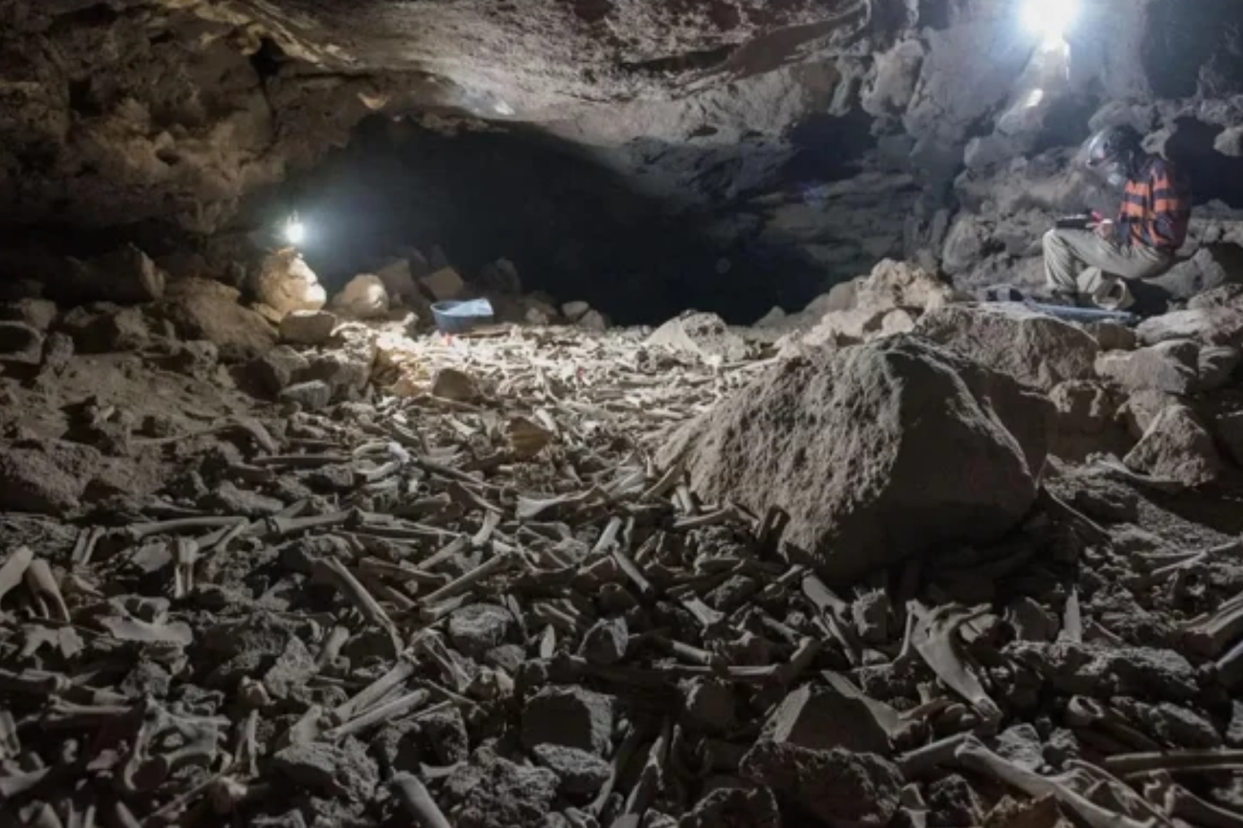 何十万もの白骨が散乱する 恐怖の洞窟 のヌシが明らかに ナゾロジー