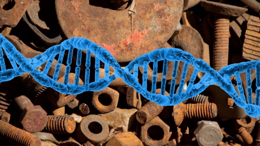 DNAに紛れ込んだウイルス痕跡はジャンクではなかった