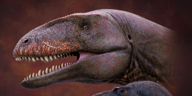 ティラノ以前の王者・カルカロドントサウルスの新種を発見！