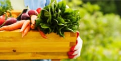 植物食で増加する「おなら」は健康のサイン