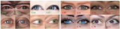 瞳孔を調査した実験画像の例。数値は瞳孔の円形度合い。左が実在の顔写真、右が偽物。
