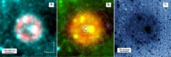 1181年に観測された超新星を取り巻くPa30星雲のX線画像