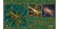 「Uchuu」で再現された現在の宇宙のダークマターの分布。図はシミュレーションの中で最大規模の銀河団を拡大したもの。