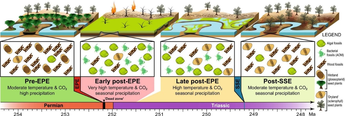 化石から確認された淡水域の生態相。EPEがペルム紀末の絶滅イベント。その後水域はアオコの発生に襲われていた。