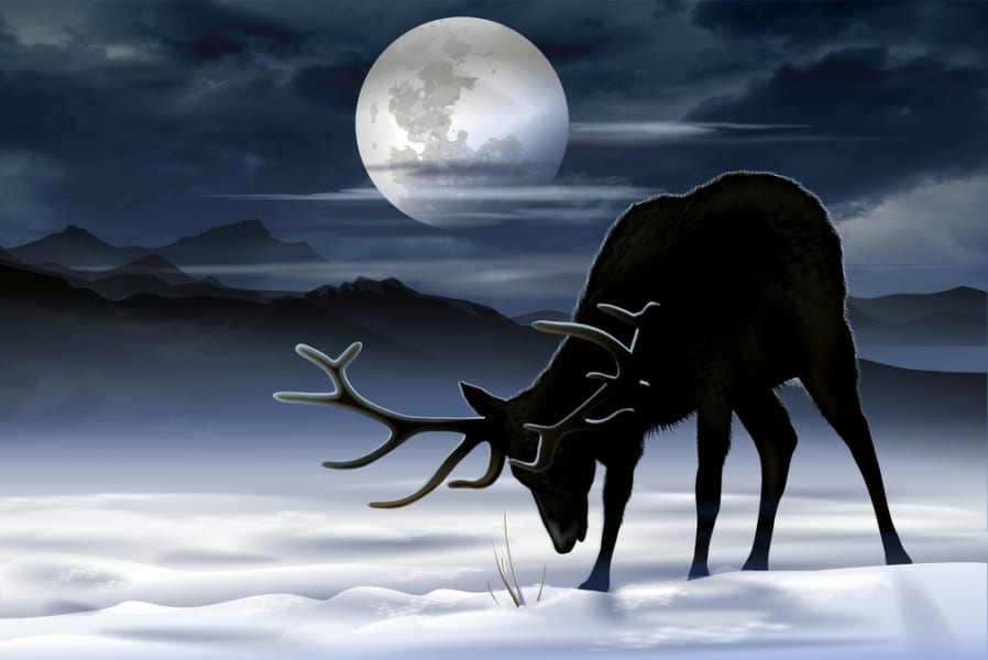 鹿と月
