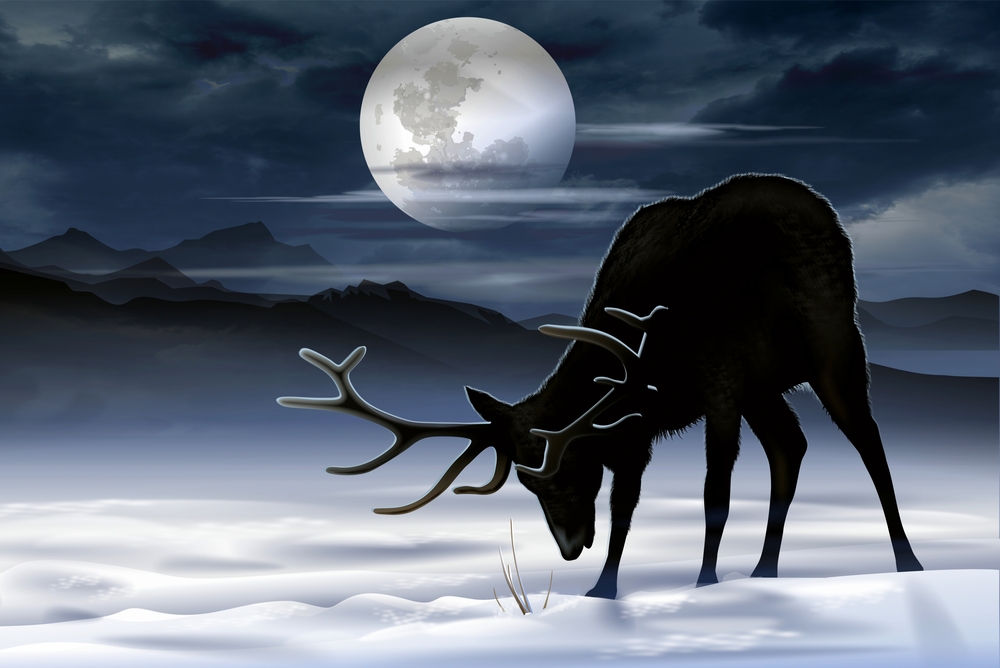 鹿と月