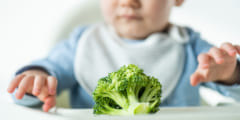 子どもがブロッコリーを嫌うのは「唾液の酵素」に原因があった