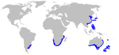 「フジクジラ」の分布域