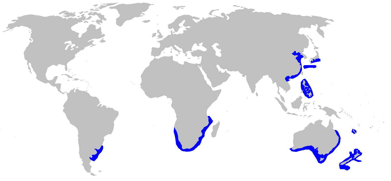 「フジクジラ」の分布域