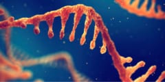 mRNA技術でマウスの20匹中19匹で「がん細胞を完全消滅」させたと発表！　臨床試験も開始！