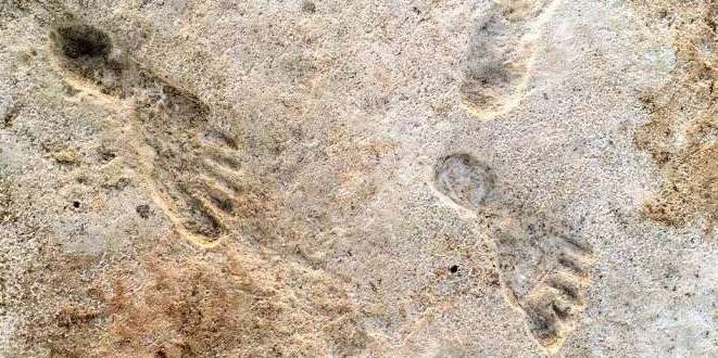 ニューメキシコ州で見つかった約2万年前の人類の足跡