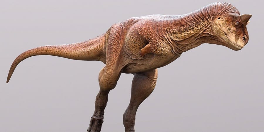 肉食恐竜の「皮膚の復元」に成功！”羽毛なし”と判明 - ナゾロジー