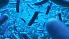 細胞の中から人間を癒やす「共生細菌」が開発中！