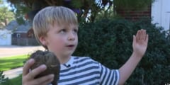 6歳の少年が1万2000年前のマストドンの歯の化石を発見