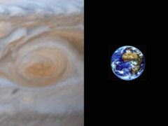 木星大赤斑と地球をだいたい同じ縮尺で並べた画像