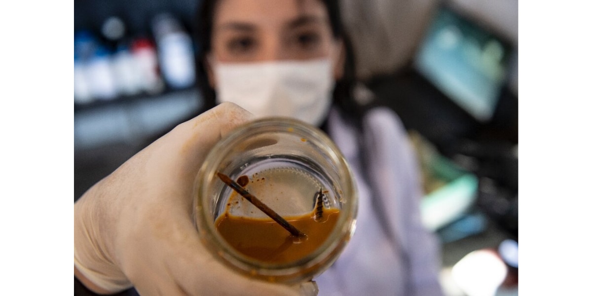 金属を食べるバクテリアと共に釘の入った瓶を見せる、チリのバイオテクノロジー学者NadacReales氏。