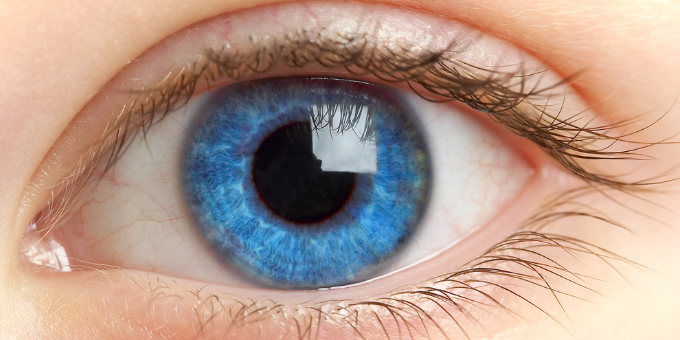瞳孔のサイズは「知覚された数」でも変化する