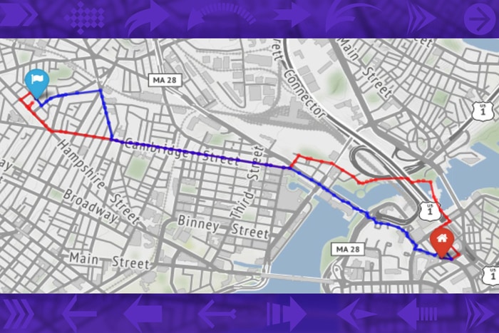 データ分析されたルート、青は最短ルート、赤は歩行者の多くが通ったルート